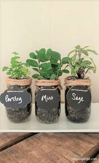 Image result for DIY Mason Jar Herb Garden