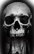 Image result for Modern Skull Art