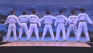 Image result for Taekwondo Tigers