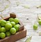 Image result for Chinese Green Plum