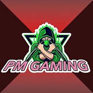 Image result for Pm Gaming Logo