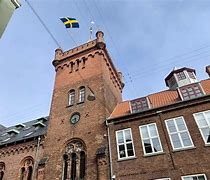 Image result for Det Svenske Flag