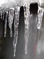 Image result for Alaska Icicle