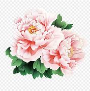 Image result for Peony Vector