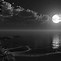 Image result for Black Moon