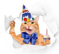 Image result for Cat Happy Birthday Puzzles