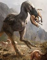 Image result for Titanis Walleri Prehistoric Fauna