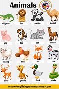 Image result for Every Kind of Animal