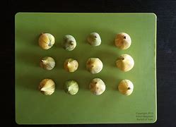 Image result for Fresh Figs in Orange Bucket