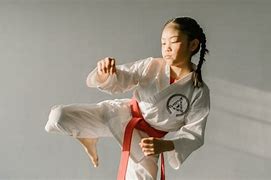 Image result for Taekwondo Kick Cross