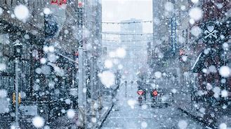 Image result for Winter Tokyo Photo