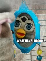 Image result for bean furby meme