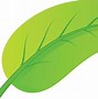 Image result for Round Leaf Vector Free