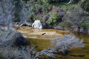 Image result for New Zealand Aesthetic