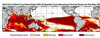 Image result for Coral Bleaching Graph