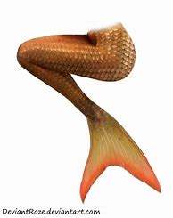 Image result for Mermaid Orange Tail