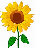 Image result for Sunflower Image Clip Art No Background