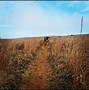 Image result for Suikerbosrand Nature Reserve