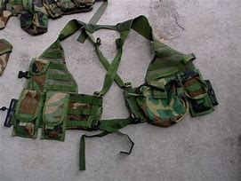 Image result for FLC Chest Rig