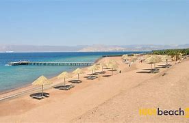 Image result for Zanice Beach