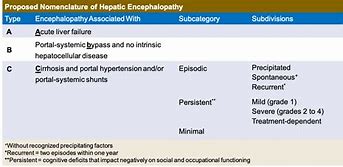 Image result for Hepatic Encephalopathy MRI