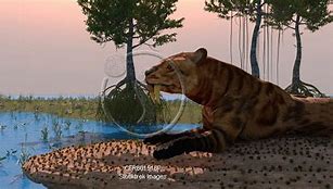 Image result for Sabertooth Tiger Prey