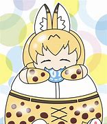 Image result for Fat Serval