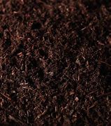 Image result for Dark Fir Mulch