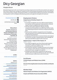 Image result for Hospice Nurse Resume Examples