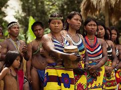 Image result for Indigenous Panama