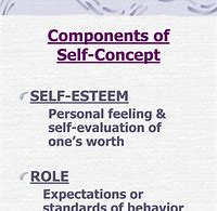 Image result for 3 Components of Self Concept