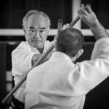 Image result for Grev Cooke Aikido