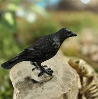 Image result for Raven Figurine