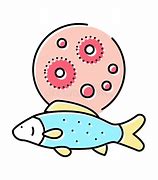 Image result for Mycobacterium in Fish