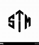 Image result for Logo STM FF