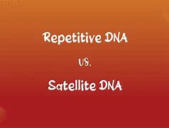 Image result for Satelliate DNA