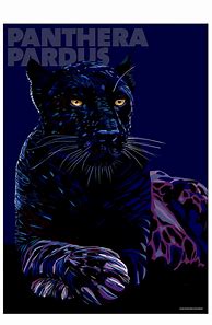 Image result for Nimr Panthera Pardus Poster