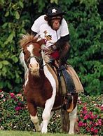 Image result for Human Riding a Monkey