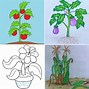 Image result for Plant Drawing