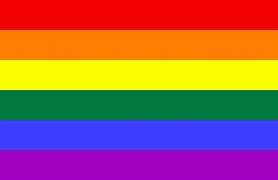 Image result for Rainbow Flag