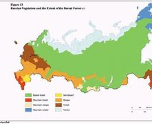 Image result for Russian Tundra Biome