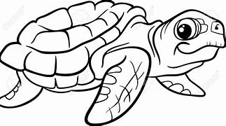 Image result for Turtle Club Clip Art Black and White