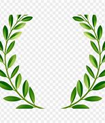 Image result for Miraa Leaves Clip Art