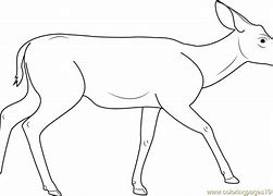 Image result for Mule Deer Stencil Drzw