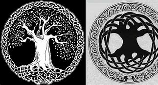 Image result for Viking Symbols Tree of Life