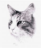 Image result for Catman Drawing