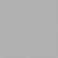 Image result for Bs00a05 Goose Grey