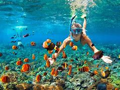 Image result for Hawaiian Snorkeling