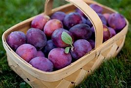 Image result for Yummy Plums