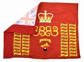 Image result for Regimental Colour Flag